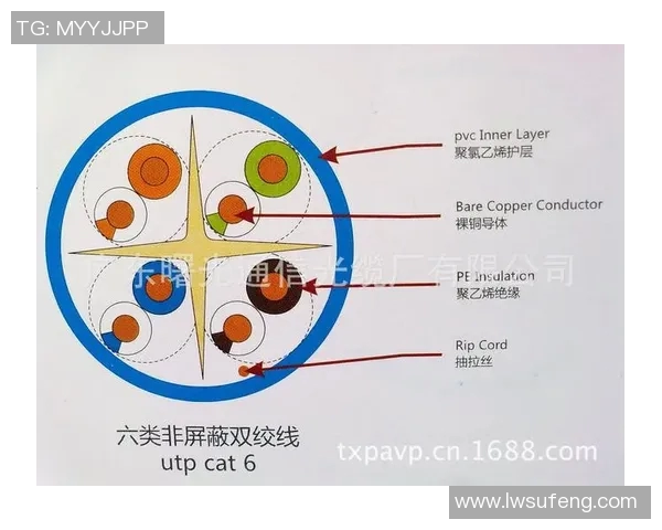 深圳网球队的整体压制揭秘：深度解析网球竞技背后的策略与训练