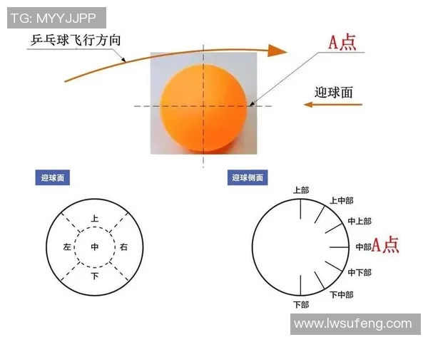 南京乒乓球队反击战术解析与实战应用探讨