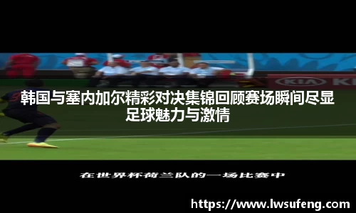 好博体育APP
